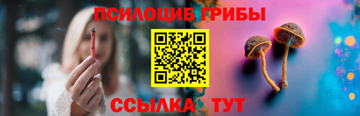 Чехов  Галлюциногенные грибы ЛСД  купить наркотик  Вход с VPN 